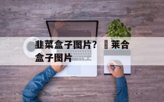 韭菜盒子图片？韮莱合盒子图片