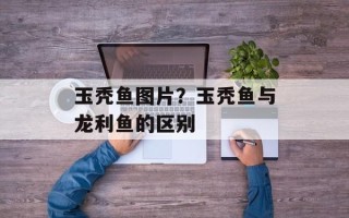 玉秃鱼图片？玉秃鱼与龙利鱼的区别