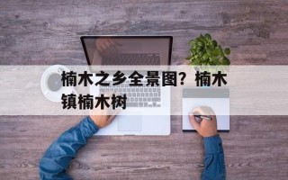 楠木之乡全景图？楠木镇楠木树