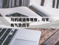 马的成语有哪些，马字有气势四字