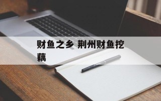 财鱼之乡 荆州财鱼挖藕