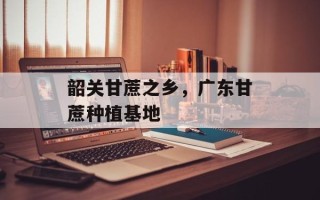 韶关甘蔗之乡，广东甘蔗种植基地