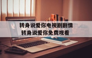 转身说爱你电视剧剧情 转身说爱你免费观看