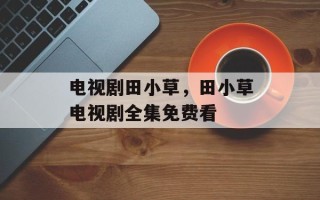 电视剧田小草，田小草电视剧全集免费看