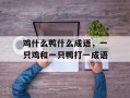 鸡什么鸭什么成语，一只鸡和一只鸭打一成语