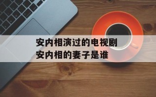 安内相演过的电视剧 安内相的妻子是谁