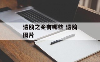 遗鸥之乡有哪些 遗鸥图片
