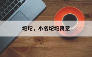 坨坨，小名坨坨寓意
