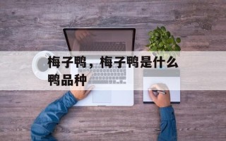 梅子鸭，梅子鸭是什么鸭品种