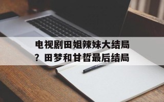 电视剧田姐辣妹大结局？田梦和甘哲最后结局
