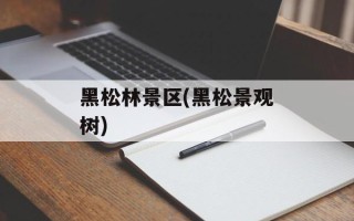黑松林景区(黑松景观树)