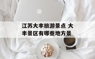 江苏大丰旅游景点 大丰景区有哪些地方景
