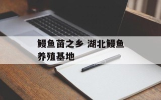 鳗鱼苗之乡 湖北鳗鱼养殖基地