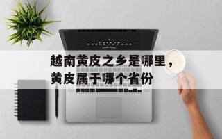 越南黄皮之乡是哪里，黄皮属于哪个省份