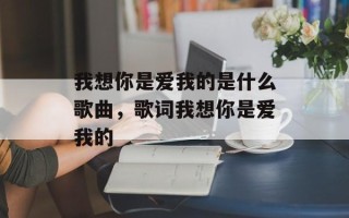 我想你是爱我的是什么歌曲，歌词我想你是爱我的