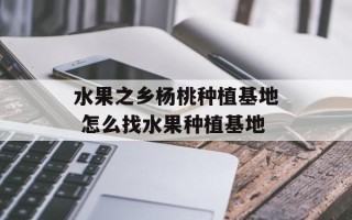 水果之乡杨桃种植基地 怎么找水果种植基地