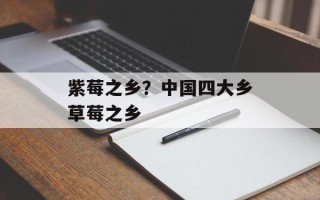 紫莓之乡？中国四大乡草莓之乡