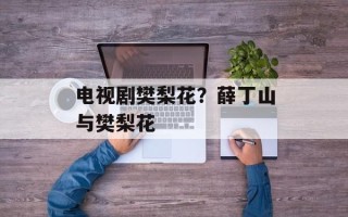电视剧樊梨花？薛丁山与樊梨花