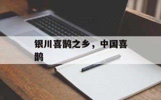 银川喜鹊之乡，中国喜鹊