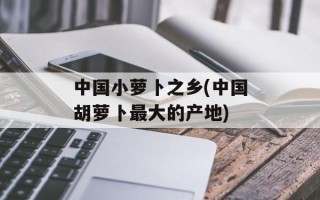 中国小萝卜之乡(中国胡萝卜最大的产地)