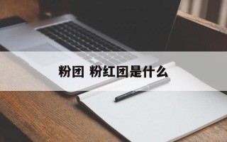粉团 粉红团是什么