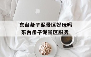 东台条子泥景区好玩吗 东台条子泥景区服务