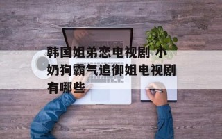 韩国姐弟恋电视剧 小奶狗霸气追御姐电视剧有哪些
