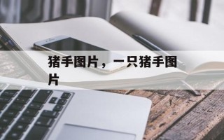 猪手图片，一只猪手图片