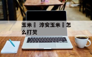 玉米粿 淳安玉米粿怎么打芡