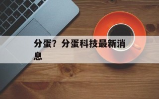 分蛋？分蛋科技最新消息