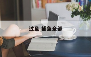 过鱼 捕鱼全部