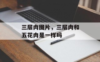 三层肉图片，三层肉和五花肉是一样吗