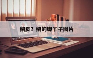 鹅脚？鹅的脚丫子图片
