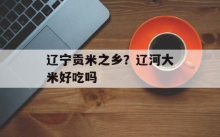 辽宁贡米之乡？辽河大米好吃吗