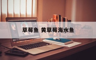 草莓鱼 黄草莓海水鱼