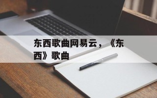 东西歌曲网易云，《东西》歌曲