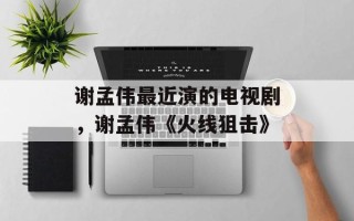 谢孟伟最近演的电视剧，谢孟伟《火线狙击》