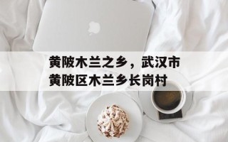 黄陂木兰之乡，武汉市黄陂区木兰乡长岗村