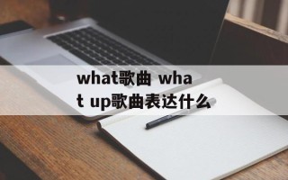 what歌曲 what up歌曲表达什么