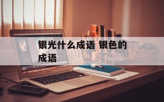 银光什么成语 银色的成语