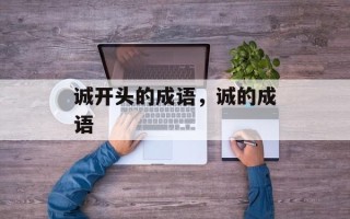 诚开头的成语，诚的成语