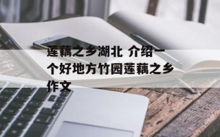 莲藕之乡湖北 介绍一个好地方竹园莲藕之乡作文