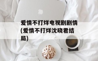 爱情不打烊电视剧剧情(爱情不打烊沈晓君结局)