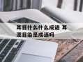 耳目什么什么成语 耳濡目染是成语吗