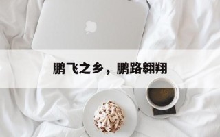 鹏飞之乡，鹏路翱翔