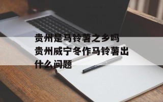 贵州是马铃薯之乡吗 贵州威宁冬作马铃薯出什么问题