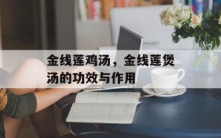 金线莲鸡汤，金线莲煲汤的功效与作用