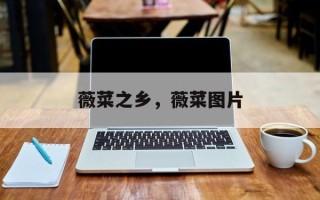 薇菜之乡，薇菜图片
