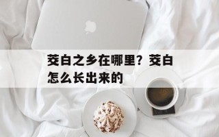 茭白之乡在哪里？茭白怎么长出来的