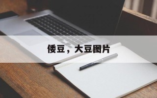 倭豆，大豆图片